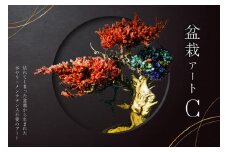 盆栽アート【C】 【盆栽 アート 伝統文化 インテリア ディスプレイ 再生 植物】