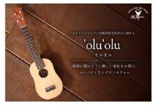 ヤイリギター　'olu'olu　-オルオル-【世界のヤイリ Yairi  ブランド ギター  楽器 ソフトケース付き 弦楽器 音楽 日本製 ヤイリ】