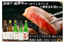 4-1　厚切り！飛騨牛サーロインステーキ300g×3枚 + 厳選日本酒720ml×5本【岐阜県 可児市 酒 日本酒 飲料 地酒 アルコール 手作り ギフト プレゼント お祝い 目録 肉 牛肉 】