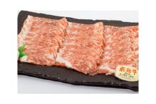店主こだわり雌牛 飛騨牛A5等級　切り落とし 約550g [No.005] ／ 牛肉 ブランド牛 メス牛 冷凍 岐阜県 特産