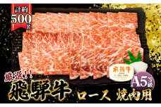 店主こだわり雌牛 飛騨牛A5等級　ロース　焼肉用　約500g [No.038] ／ 牛肉 ブランド牛 やきにく メス牛 冷凍 岐阜県 特産