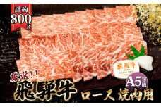 店主こだわり雌牛 飛騨牛A5等級　ロース　焼肉用　約800g [No.065] ／ 牛肉 ブランド牛 やきにく メス牛 冷凍 岐阜県 特産