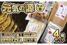 美濃山県元気ファーム　元気の源セットB [No.077] ／ ニンニク にんにく 大蒜 黒にんにく 生姜パウダー にんにくチップ ごぼう茶 健康 栄養 美容 岐阜県 特産