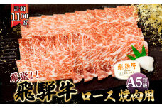 店主こだわり雌牛 飛騨牛A5等級　ロース　焼き肉用　約1.1kg [No.085] ／ 牛肉 ブランド牛 やきにく 焼肉 メス牛 冷凍 岐阜県 特産