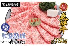 氷温(R)熟成　飛騨牛Ａ５等級ロース肉すき焼き 約750g プロトン凍結 [No.088] ／ 牛肉 ブランド牛 すきやき 岐阜県 特産
