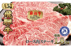 ロース肉ステーキ 10枚（約1800g）　氷温(R)熟成　飛騨牛Ａ５等級 リキッドフリーズ [No.539] ／ 牛肉 ブランド牛 すきやき 岐阜県 特産