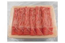 飛騨牛モモすき焼き用 計約600g（5等級／冷凍） [No.132] ／ 牛肉 ブランド牛 もも肉 すきやき 岐阜県 特産