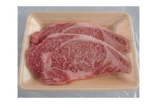 飛騨牛ロースステーキ用　計約400g（5等級／冷凍） [No.127] ／ 牛肉 ブランド牛 岐阜県 特産