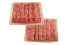 飛騨牛ロース・モモすき焼き用  計約600g（5等級／冷凍） [No.138] ／ 牛肉 ブランド牛 もも肉 すきやき 岐阜県 特産