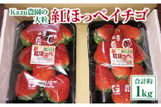 Kazu農園の大粒　紅ほっぺイチゴ  合計約1kg [No.139] ／ いちご 苺 フルーツ 安全 岐阜県 特産品