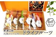 美濃山県元気ファームのドライフルーツかじゅえりー6点セット [No.140] ／ 柿 いちじく キウイ いちご ブルーべリー りんご 乾燥 完熟 無添加 岐阜県 特産品