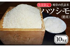 数量限定！岐阜の代表米 ハツシモ（精米）10kg [No.142] ／ お米 白米 幻のお米 岐阜県 特産品