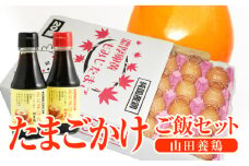 【山田養鶏】たまごかけご飯セット [No.188] ／ 卵かけご飯 濃口醤油 薄口醤油 新鮮 採れたて 岐阜県 特産