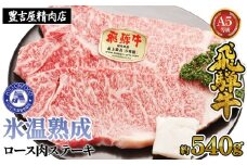 ロース肉ステーキ 3枚（約540g）　氷温(R)熟成　飛騨牛Ａ５等級 リキッドフリーズ [No.526] ／ 牛肉 ブランド牛 岐阜県 特産