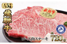ロース肉ステーキ 4枚（約720g）　氷温(R)熟成　飛騨牛Ａ５等級 リキッドフリーズ [No.530] ／ 牛肉 ブランド牛 岐阜県 特産