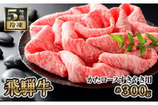 飛騨牛かたロースすきやき用 約300g（5等級/冷凍） [No.208] ／ 肩ロース ブランド牛 牛肉 岐阜県 特産品