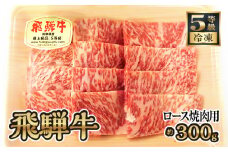 飛騨牛ロース焼肉用 約300g（5等級/冷凍） [No.214] ／ ブランド牛 牛肉 BBQ 岐阜県 特産品
