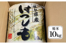 ハツシモ精米10kg [No.246] ／ お米 白米 低農薬栽培 岐阜県 特産