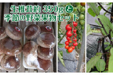 生椎茸約350gと季節の野菜果物セット [No.280] ／ しいたけ シイタケ やさい くだもの 岐阜県 特産