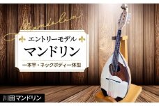 【エントリーモデル】マンドリン [No.288] ／ 楽器 岐阜県 特産品