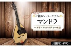 【上級エントリーモデル】マンドラ [No.291] ／ 楽器 岐阜県 特産品