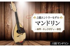 【上級エントリーモデル】マンドリン [No.290] ／ 楽器 岐阜県 特産品