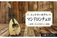 【エントリーモデル】マンドロンチェロ [No.292] ／ 楽器 岐阜県 特産品