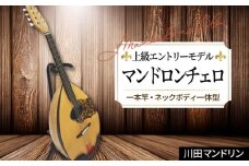 【上級エントリーモデル】マンドロンチェロ [No.294] ／ 楽器 岐阜県 特産品
