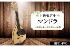 【上級モデル】マンドラ [No.293] ／ 楽器 岐阜県 特産品