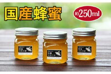 国産蜂蜜　約250ml [No.351] ／ はちみつ 無添加 酵素 岐阜県