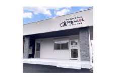 トリミング＆ホテル利用券1000円相当×10枚 [No.354] ／ ペット 犬 シャンプー カット ジャグジー 岐阜県