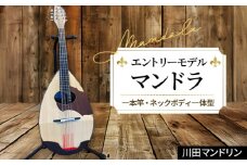 【エントリ―モデル】マンドラ [No.289] ／ 楽器 岐阜県 特産品