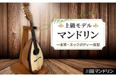 【上級モデル】マンドリン [No.296] ／ 楽器 岐阜県 特産品