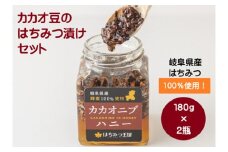 岐阜県産はちみつを使ったカカオニブハニー　180g×2瓶 [No.372] ／ はちみつ漬け カカオ豆 岐阜県 特産