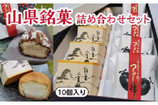 山県銘菓 詰め合わせセット 10個入り [No.373] ／ 和菓子 つるし柿 シナモン 岐阜県