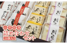 山県銘菓 詰め合わせセット 20個入り [No.376] ／ 和菓子 カステラ 焼菓子 つるし柿 シナモン 岐阜県