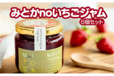 みとかnoいちごジャム6個セット [No.378] ／ 苺 イチゴ 手作り 岐阜県