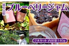 岐阜山県ブルーベリージャム2本セット　内容量140g [No.386] ／ 自家農園 トースト ヨーグルト 岐阜県