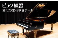 ピアノ練習  文化の里花咲きホール半日使用 [No.394] ／ チケット ステージ 岐阜県