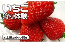いちご狩り体験（お土産2パック付き） [No.400] ／ 苺 イチゴ狩り チケット 岐阜県