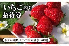 いちご狩り招待券　小人（4歳以上小学生未満【4～6歳】） [No.422] ／ 苺狩り イチゴ狩り 体験チケット 岐阜県