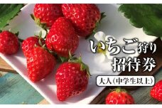 いちご狩り招待券　大人（中学生以上） [No.424] ／ 苺狩り イチゴ狩り 体験チケット 岐阜県