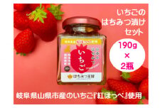 岐阜県産いちごはちみつ漬けセット　190g×2瓶 [No.426] ／ ハチミツ 紅ほっぺ 蜂蜜漬け ドライいちご 岐阜県