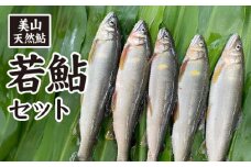 美山天然鮎　若鮎セット [No.480] ／ あゆ アユ 川魚 岐阜県