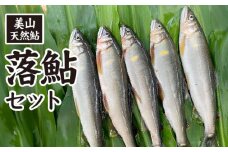 美山天然鮎　落鮎セット [No.481] ／ あゆ アユ 川魚 岐阜県