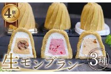 生モンブラン3種　4個入　1箱 [No.488] ／ 栗 マロン いちご ケーキ スイーツ 岐阜県