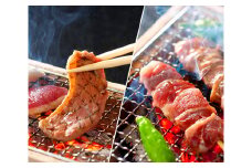4～6人前　一度食べたらやみつきに！鴨串・鴨ロースブロックセット [No.493] ／ カモ肉 串焼き バルバリー種 岐阜県