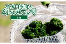 清流円原川の幻のカワノリ【3枚】 [No.498] ／ 川海苔 希少 天然ノリ 岐阜県