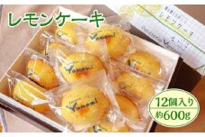 レモンケーキ12個入り　約600g [No.509] ／ 焼き菓子 夏限定 岐阜県
