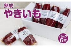 熟成やきいも 【パック6本】 [No.540] ／ 焼き芋 ヤキイモ スイーツ 岐阜県